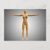 神経系を有する女性体の解剖学 ポストカード (正面)