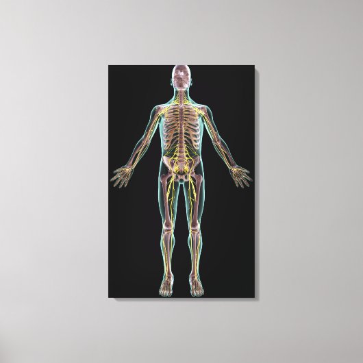 神経系イラストレーション キャンバスプリント (正面)