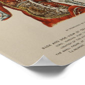 神経系脊髄神経解剖学プリント ポスター (角)