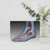 神経系1が付いている人間足 ポストカード (スタンド正面)