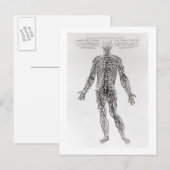 神経系(b/wプリント) ポストカード (正面/裏面)