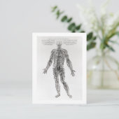 神経系(b/wプリント) ポストカード (スタンド正面)