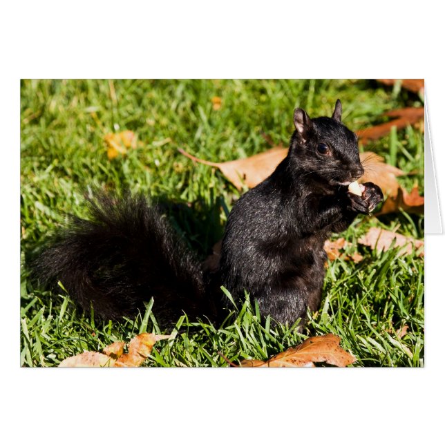 神経質で小さい人 (正面横)