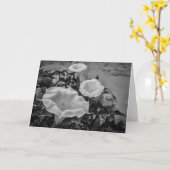 神聖なチョウセンアサガオ属 カード (黄色い花)