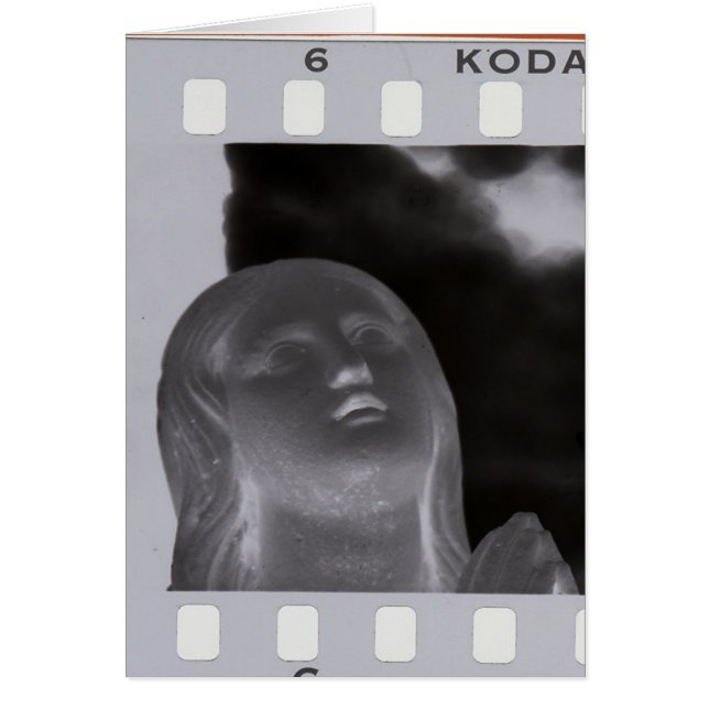 神聖なフィルム (正面)