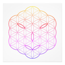 神聖な顔 – アークトリア語、Cl-Tr. フォトプリント