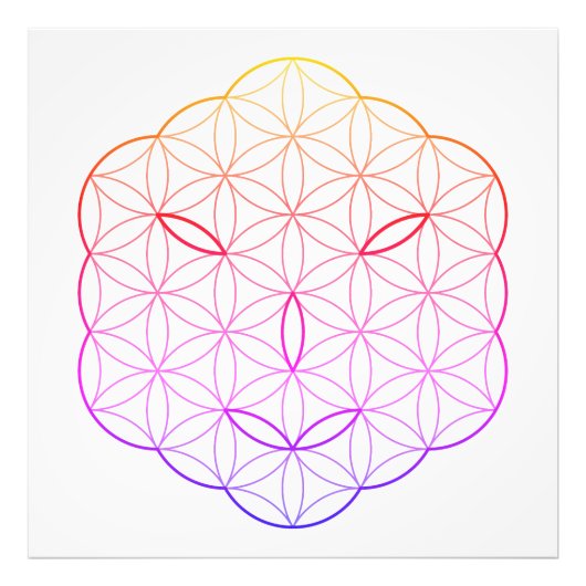 神聖な顔 – アークトリア語、Cl-Tr. フォトプリント (正面)