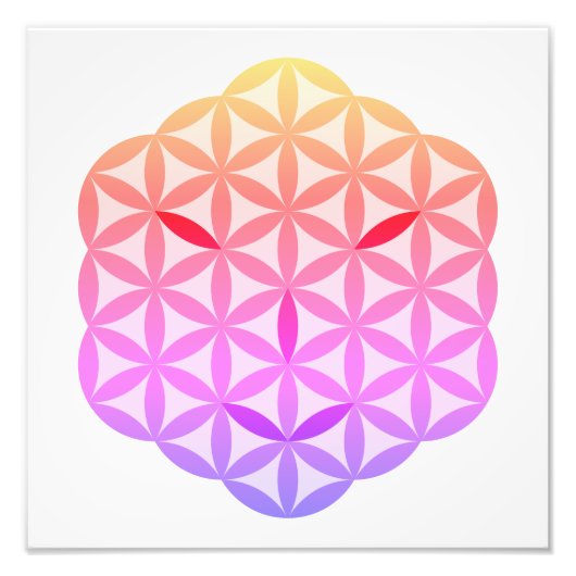 神聖な顔 – アークトリア語、ColorF. フォトプリント (正面)