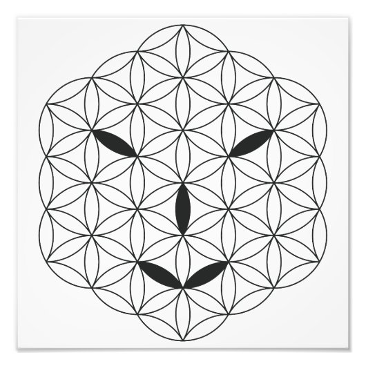 神聖な顔- Arcturian 02, Black-Tr. フォトプリント (正面)