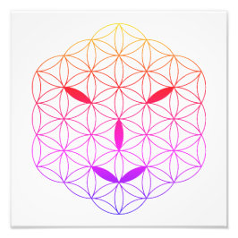 神聖な顔- Arcturian 02, CF-Tr. フォトプリント