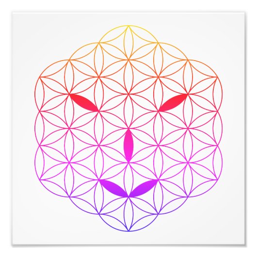 神聖な顔- Arcturian 02, CF-Tr. フォトプリント (正面)