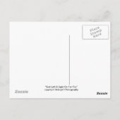 神離れの光 ポストカード (裏面)