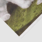 祭りすてきで3匹の子猫 薄葉紙 (詳細)