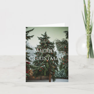 祭りの松の木に飾りが巻かれたもの シーズンカード