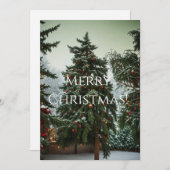 祭りの松の木に飾りが巻かれたもの シーズンカード (正面/裏面)