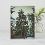 祭りの松の木に飾りが巻かれたもの シーズンカード (スタンド正面)