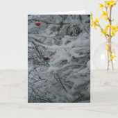 「祭り仕様のフワフワ」クリスマスカード カード (黄色い花)