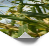 祭り6:7人は誰でも泣く… ポスター (角)