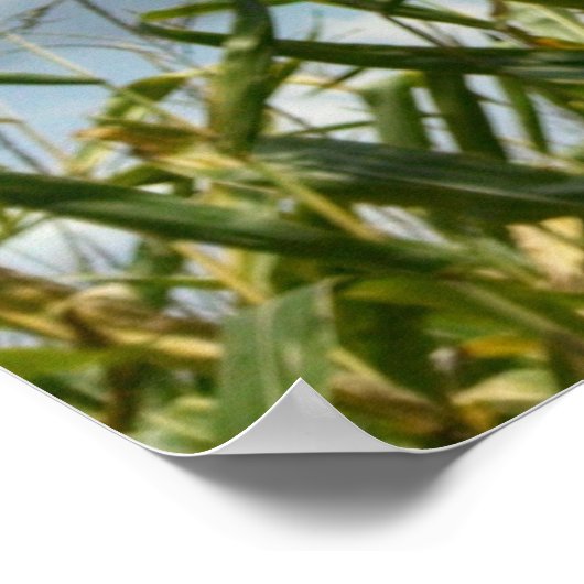 祭り6:7人は誰でも泣く… ポスター (角)