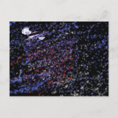 「祭モダン典」 ポストカード (正面)