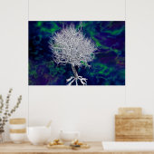 禁断の木 ポスター (キッチン)