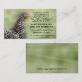 禁止された石の鶏の卵の農家 名刺 (正面/裏面)