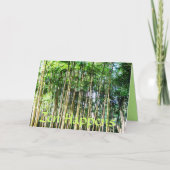 禅が起こる カード (正面)