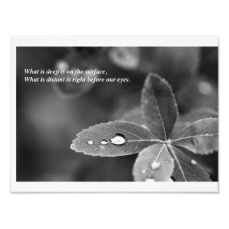 禅と道教のマインドフルネス瞑想写真 フォトプリント           