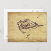 禅のオリエンタルアート鉛筆スケッチ野生の鳥 ポストカード (正面/裏面)