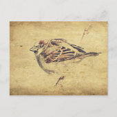 禅のオリエンタルアート鉛筆スケッチ野生の鳥 ポストカード (正面)
