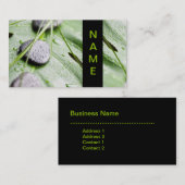 禅の名刺 名刺 (正面/裏面)