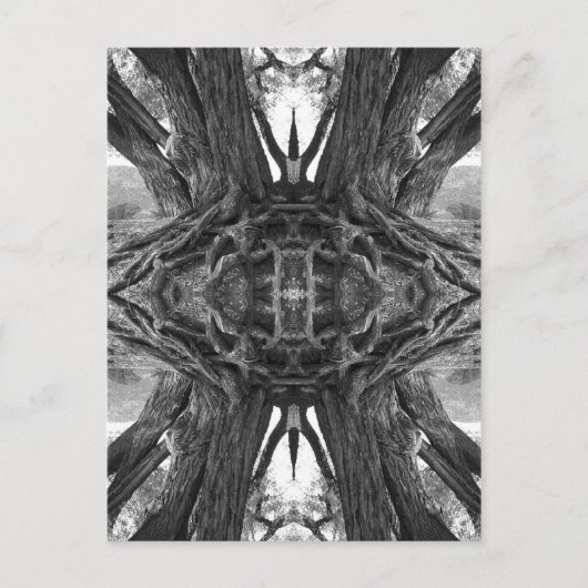 禅の名葉書 ポストカード (正面)