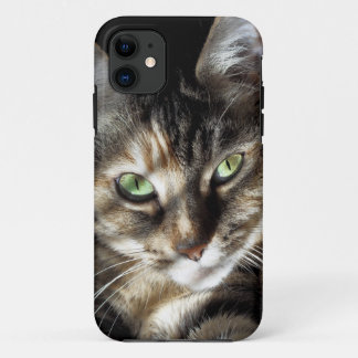 禅の子猫 iPhone 11 ケース