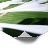 禅の庭のポスターのホスタ ポスター (角)