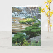 禅の庭 カード (黄色い花)