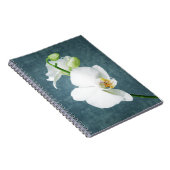 禅の白い蘭の花 ノートブック (右側)