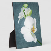 禅の白い蘭の花 フォトプラーク (側面)