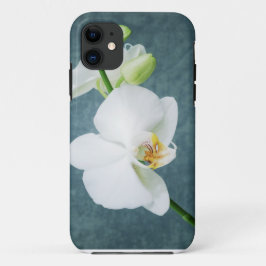 禅の白い蘭の花 iPhone 11 ケース