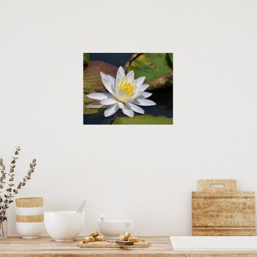禅を必要とする宇宙のための平和な蓮 ポスター (キッチン)