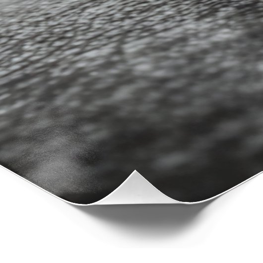 禅バランス ポスター (コーナー)