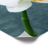 禅ホワイトオーキッド ポスター (角)