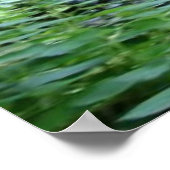 禅ポスター ポスター (角)