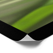 禅ポスター ポスター (角)