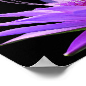 禅ヨガ瞑想蓮の花 ポスター (角)