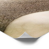 禅ロックガーデン ポスター (角)