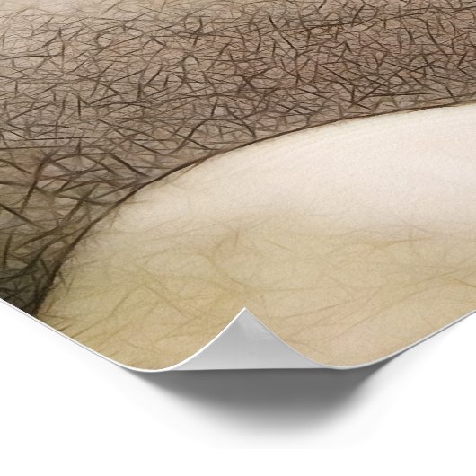 禅ロックガーデン ポスター (角)