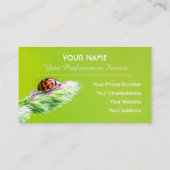 禅前向きと教育のための幸運なラディバグ 名刺 (裏面)