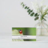 禅前向きと教育のための幸運なラディバグ 名刺 (スタンド正面)