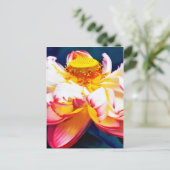 禅咲きピンク蓮の花水色 案内ポストカード (スタンド正面)