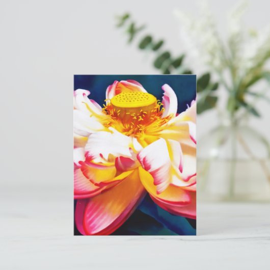 禅咲きピンク蓮の花水色 案内ポストカード (スタンド正面)